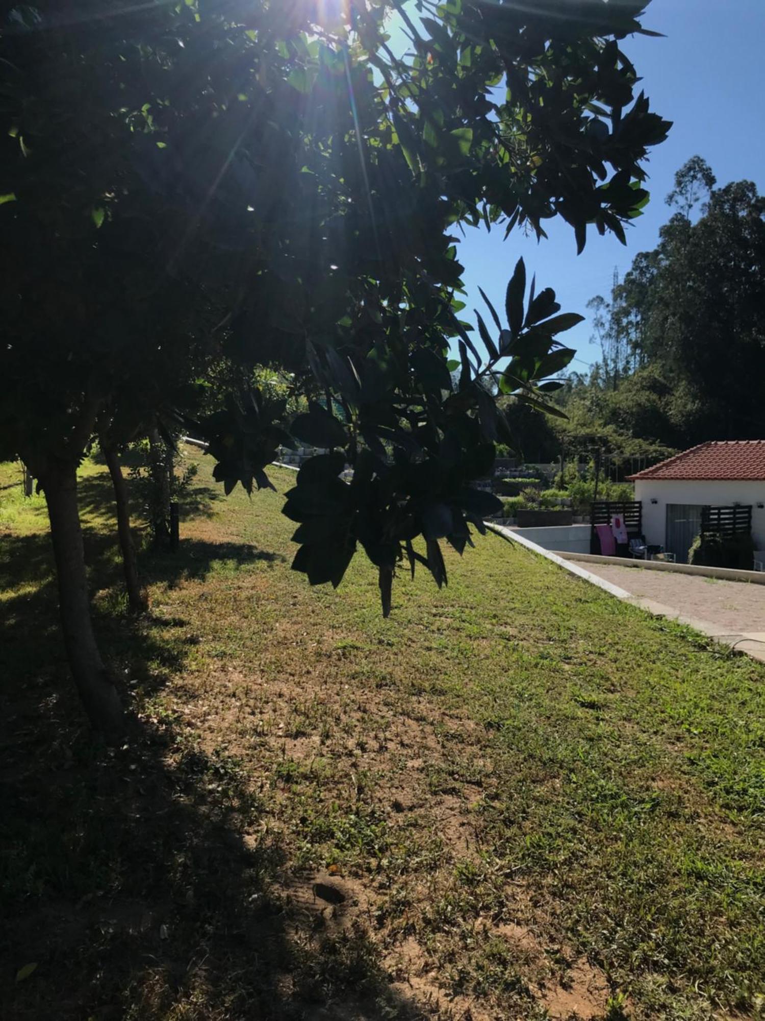 אוליביירה דה אזמיס Casa Da Milheira - Agroturismo מראה חיצוני תמונה